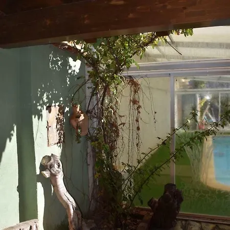 Mary * Villalba Baja